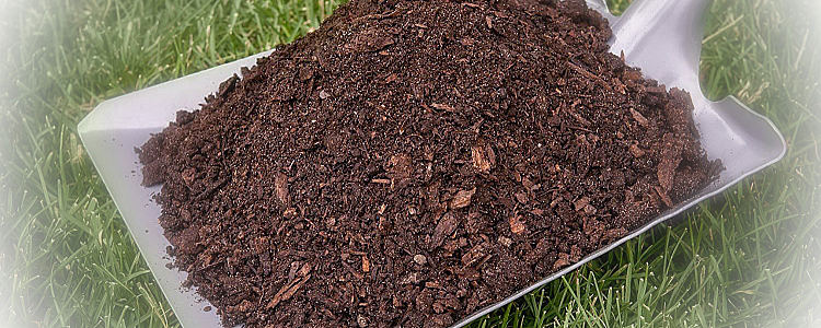 Benefits of Cow Dung Fertilizer