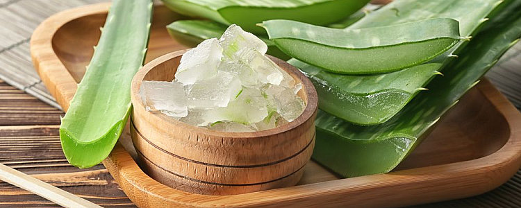 All about Aloe vera(Ghrit Kumari)