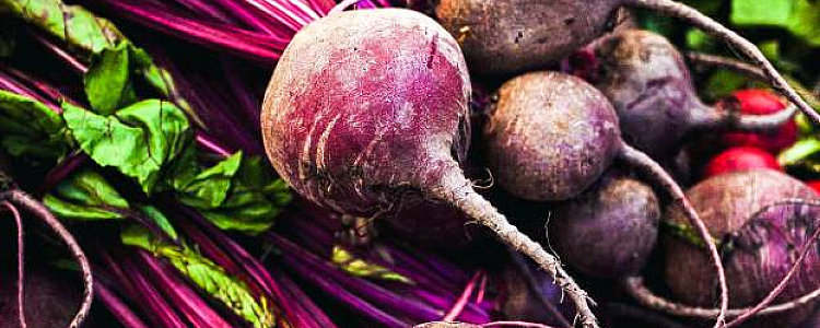 Top 7 Beetroot Health Benefits: Naturally Nourishing