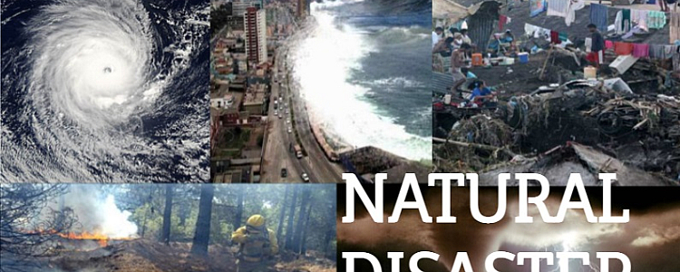 Everything about Natural Disaster and prevention