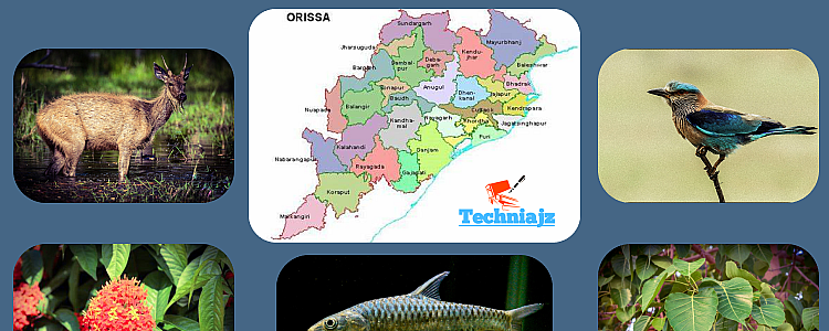 State Emblem and Symbols of Odisha