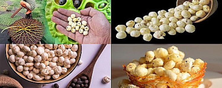 Health Benefits of Makhana (FoxNuts)