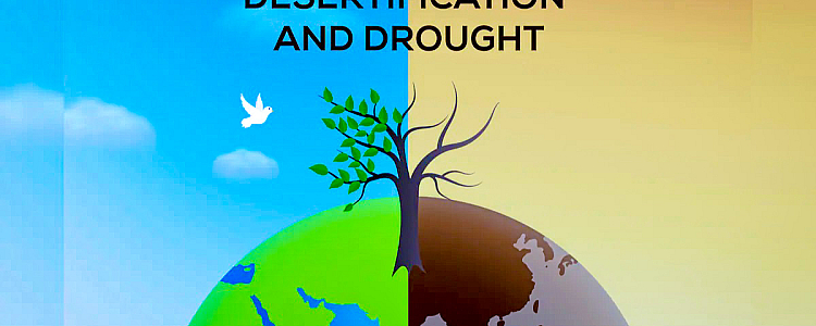 World Day to Combat Desertification and Drought 2022 - History, Significance, and Theme